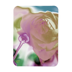 Ímã Magneta de Foto Flexível Ranunculus