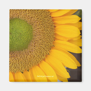 Imã Magneta de fotografia da Flor de Girassol