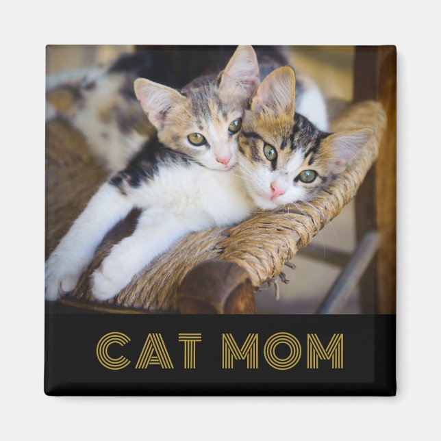 Imã Magneta de Fotografia da Mãe de Gato Bonito (Frente)