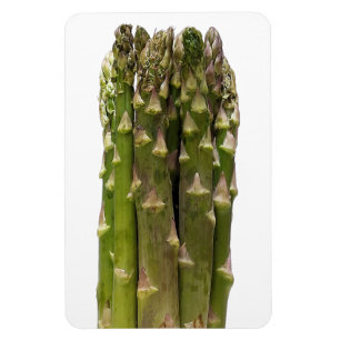 Ímã Magneta de Fotografia de Asparagus