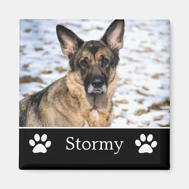 Imã Magneta de Fotografia de Pet Preto Personalizada (Frente)