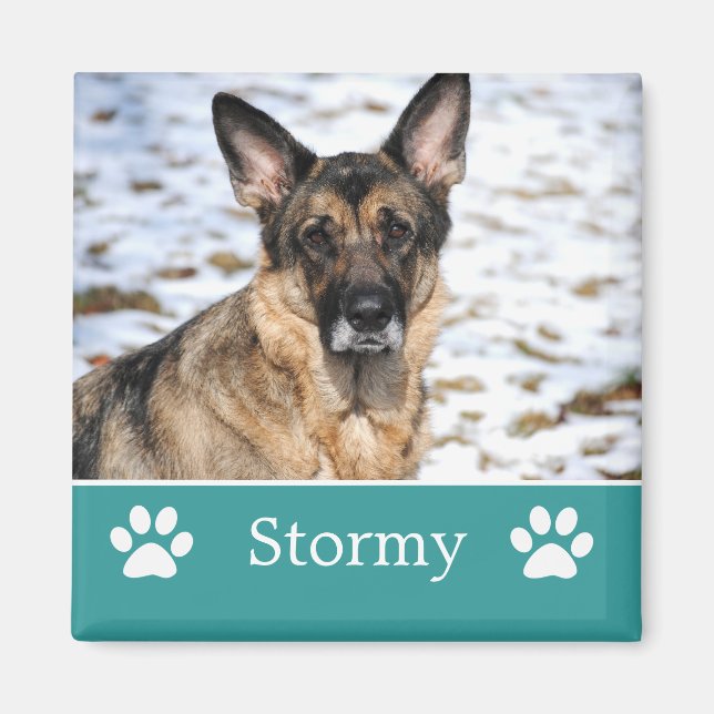 Imã Magneta de Fotografia de Pet Teal Personalizada (Frente)