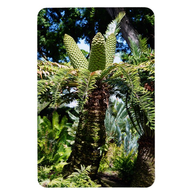 Ímã Magneta de Fotografia em Árvore Tropical (Vertical)