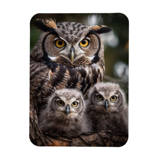 Ímã Magneta de Fotografia Flexível da Família Owl (Vertical)
