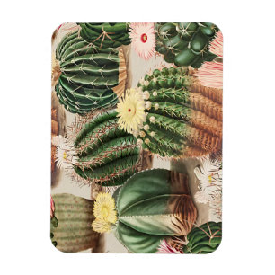 Ímã Magneta de Fotografia Flexível do Cactus Design