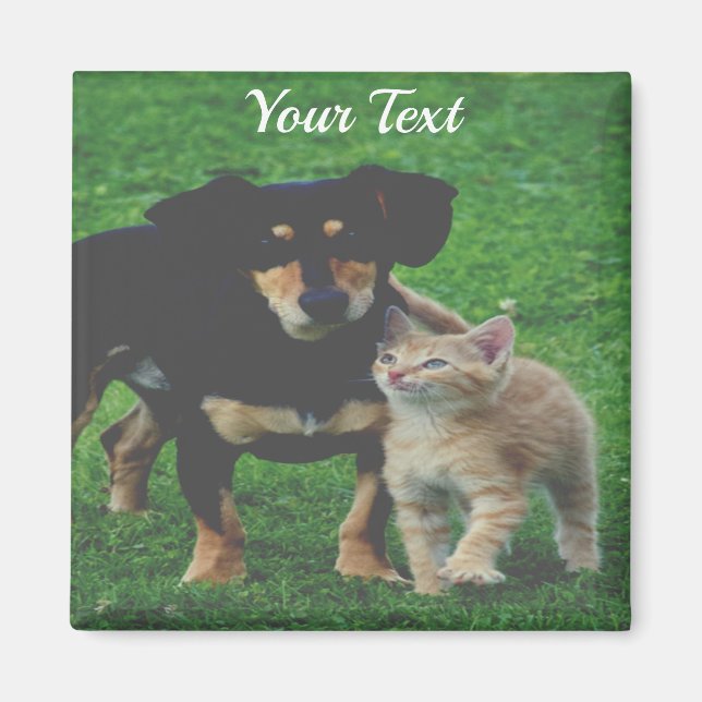 Imã Magneta de Fotografia Pet Personalizada (Frente)