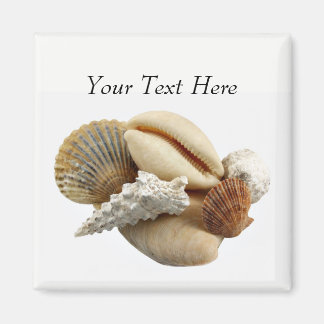 Imã Magneta de Fotografia Seashell Misturada Personali
