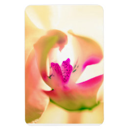 Ímã Magneta de fotos flexível do Orchid Design
