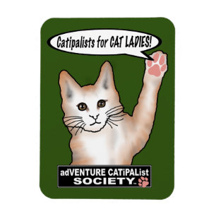 Ímã Magneta de Fotos Flexível para Gatos
