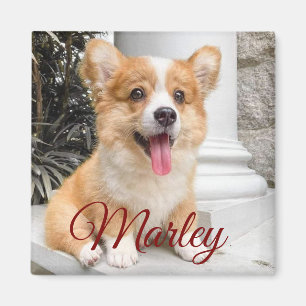 Imã Magneta de Fotos Personalizadas de Pet Moderna Rus