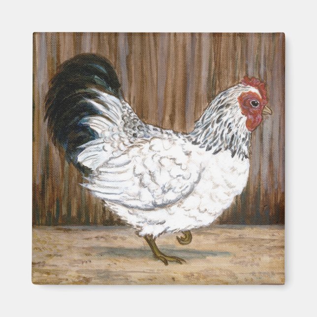 Imã Magneta de frango branco (Frente)