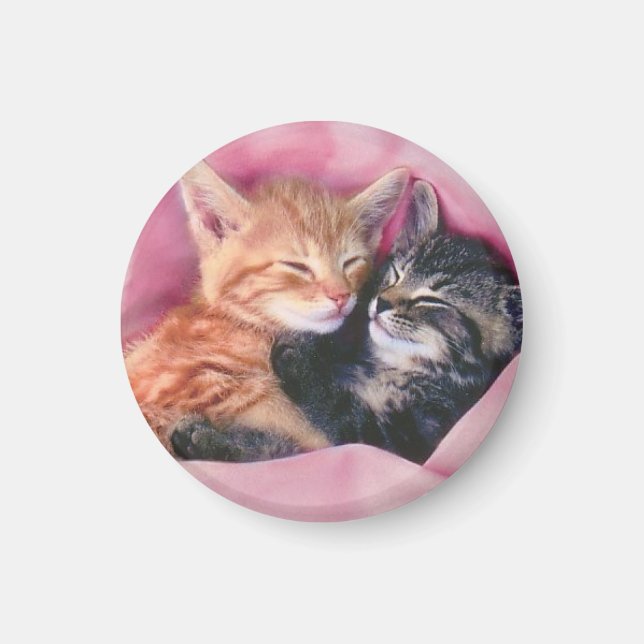Imã magneta de gatinhos de sonho (Frente)