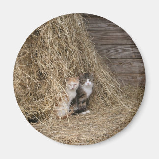 Imã Magneta de Gato