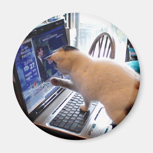 Imã Magneta de Gato Cumputter (Frente)