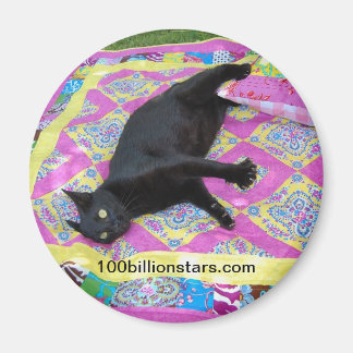 Imã Magneta de Gato de Quilt Louco