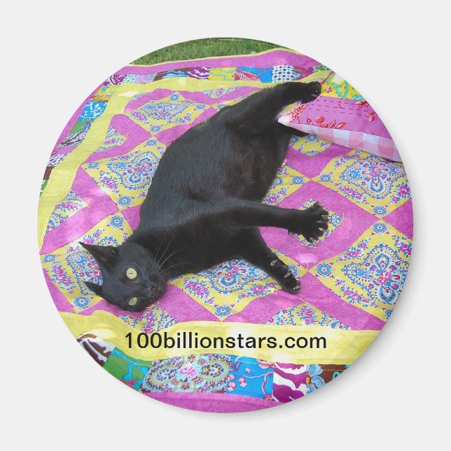 Imã Magneta de Gato de Quilt Louco (Frente)