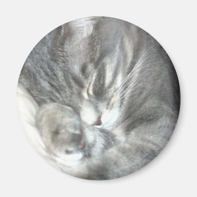 Imã Magneta de Gato Dormindo (Frente)