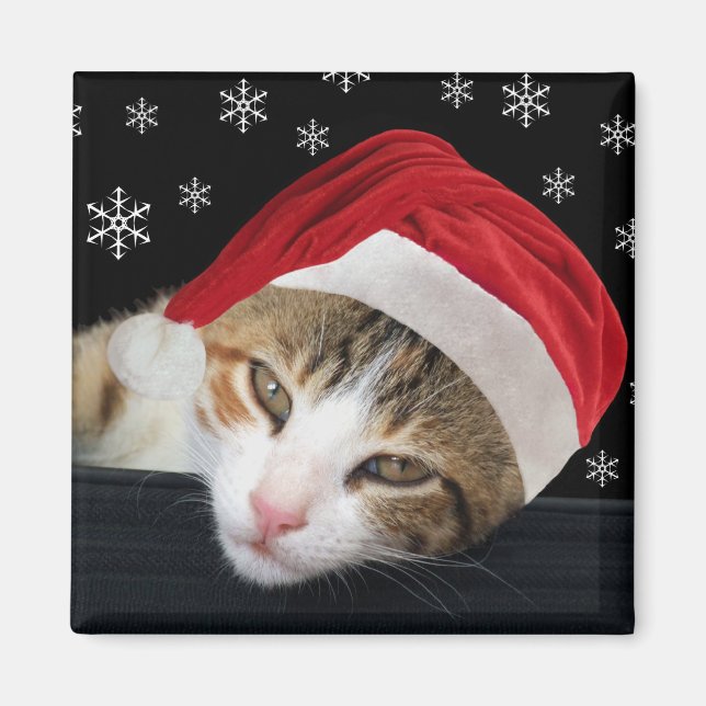 Imã Magneta de gato natalino (Frente)