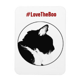 Ímã Magneta de Gato Preto