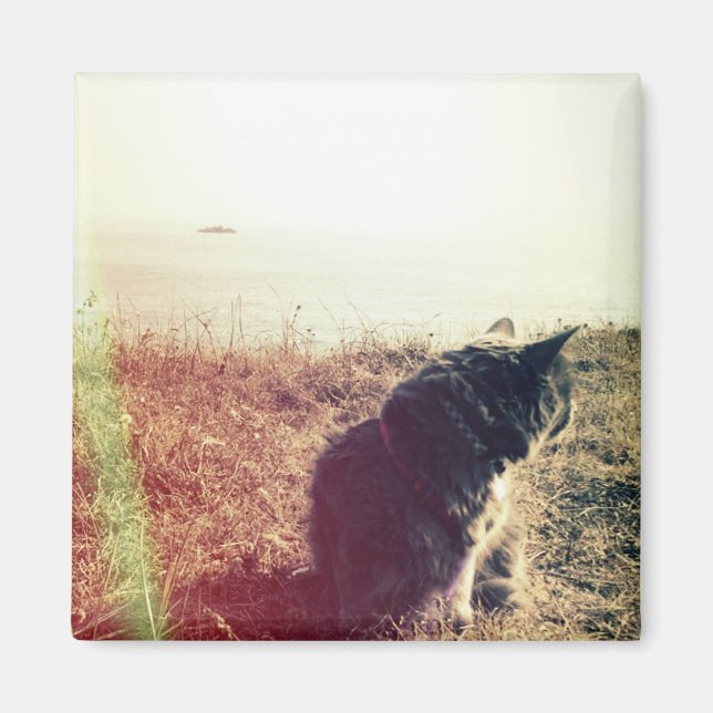 Imã Magneta de Gato Vintage (Frente)