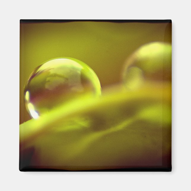 Imã Magneta de gota de água (Frente)