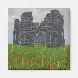 Imã Magneta de Greve Esquecida