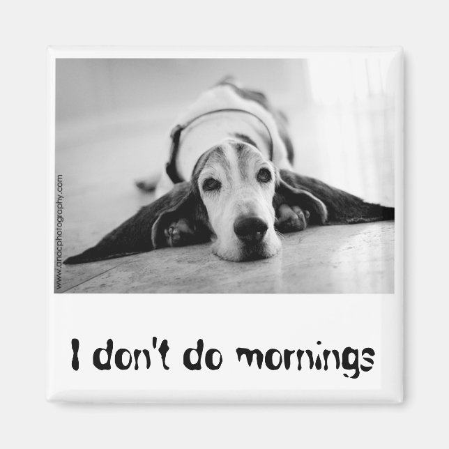 Imã Magneta de Hound Preto e Branco (Frente)