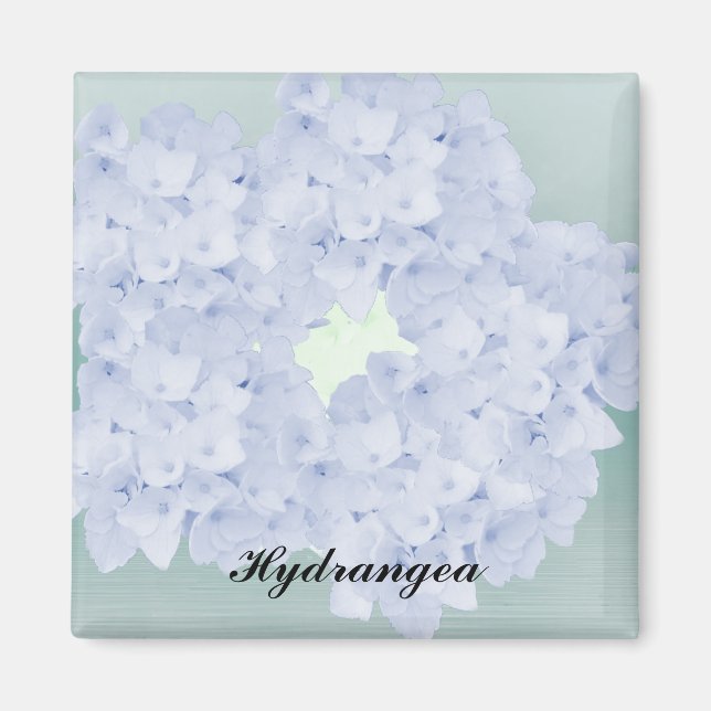 Imã Magneta de Hydrangea Azul (Frente)