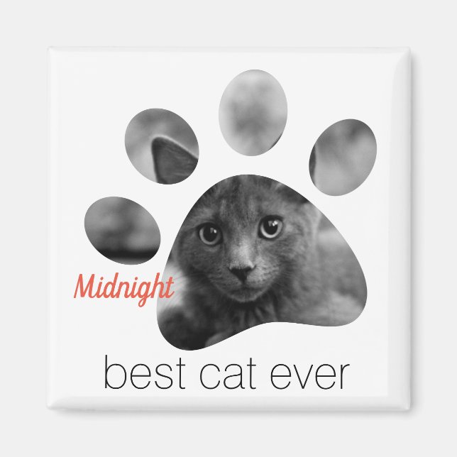 Imã Magneta de Impressão Personalizada da Pata de Foto (Frente)