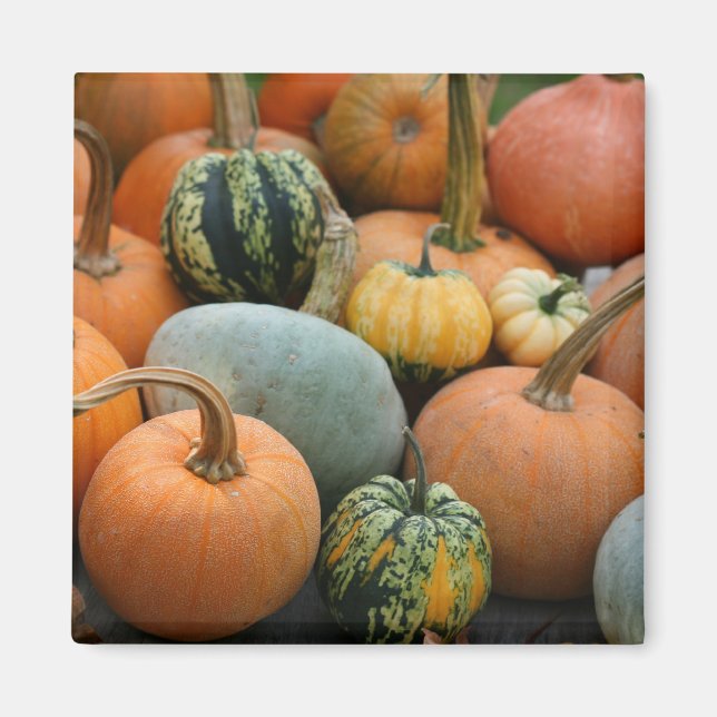 Imã Magneta de inverno (Frente)