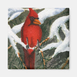 Imã Magneta de inverno