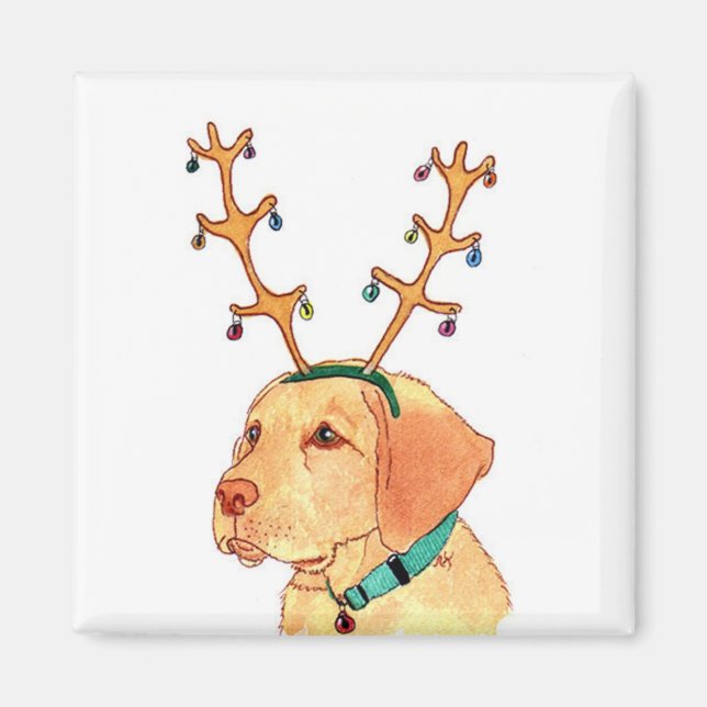 Imã Magneta de laboratório amarelo feriado (Frente)