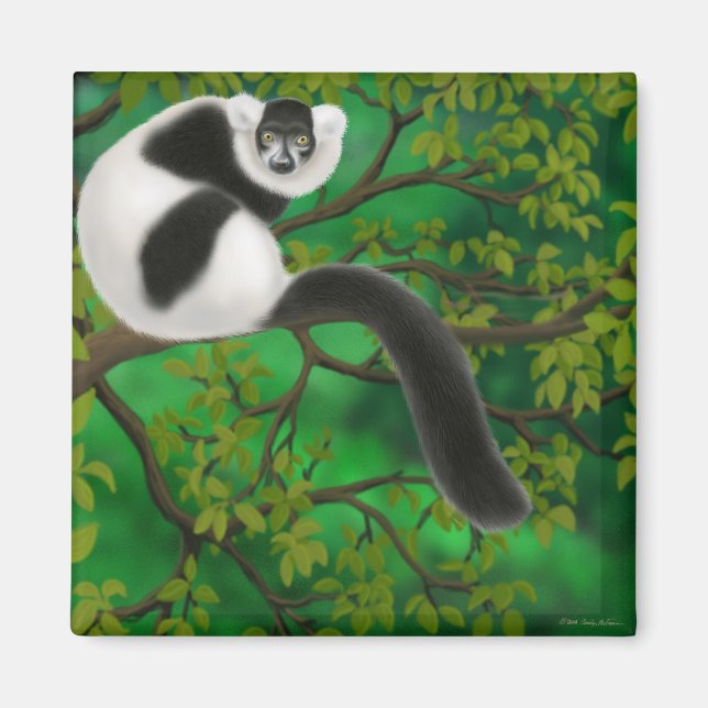 Imã Magneta de Lemur Preta e Branca (Frente)
