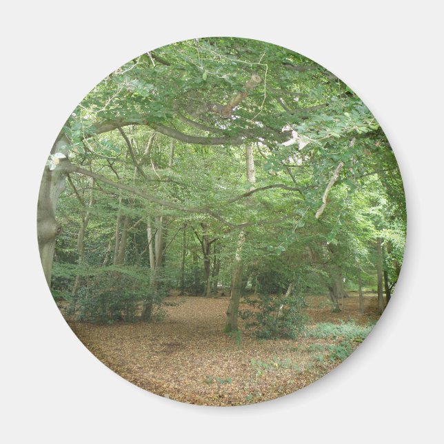 Imã Magneta de limpeza da floresta (Frente)