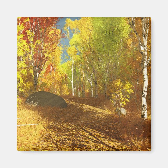 Imã Magneta de luz (Frente)