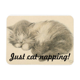 Ímã Magneta de Nápoles para Gatinho Bonito