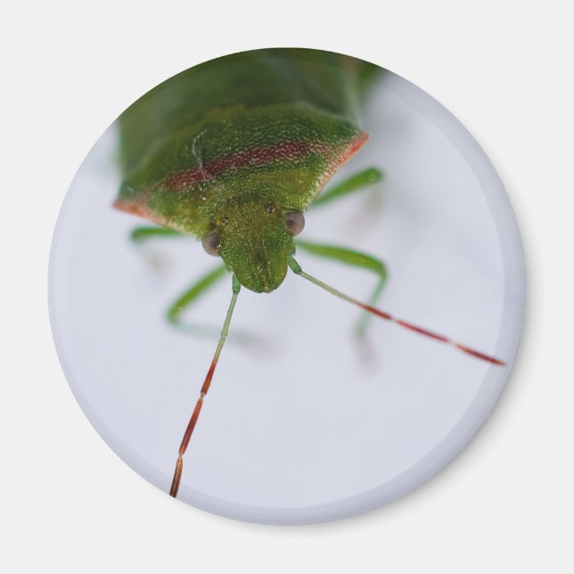 Imã Magneta de Olho (Frente)