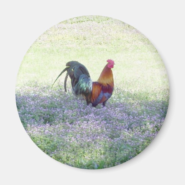 Imã Magneta de Orgulho de Penas (Frente)