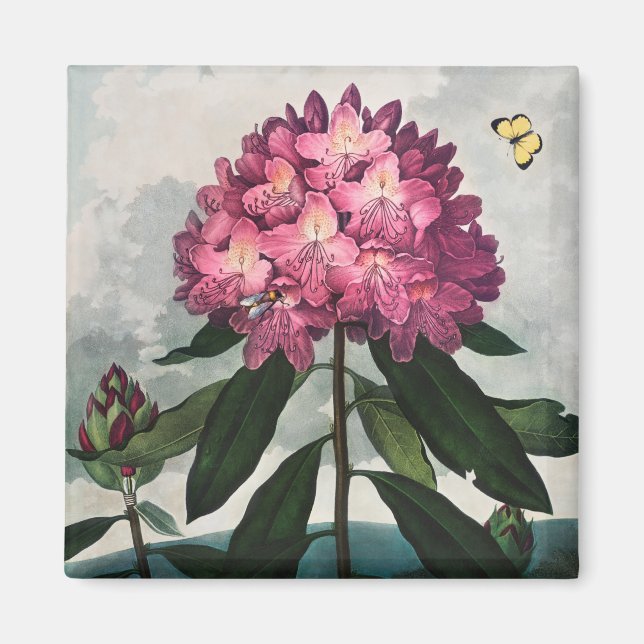 Imã Magneta de Padrão Floral (Frente)