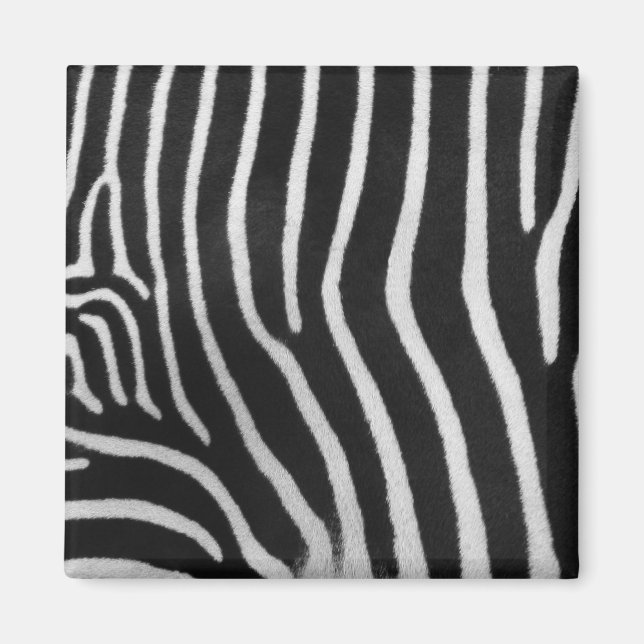 Imã Magneta de Padrões de Faixa Zebra (Frente)