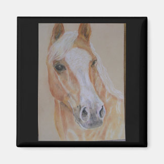 Imã magneta de palomino