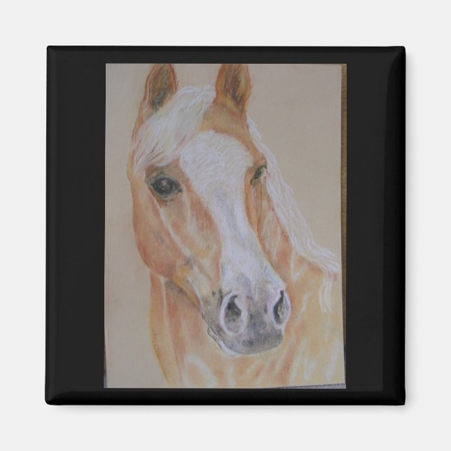 Imã magneta de palomino (Frente)