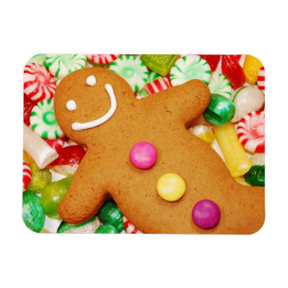 Ímã Magneta de pão-de-gengibre