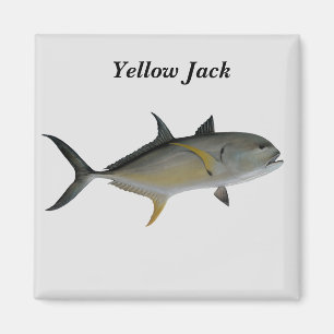Imã Magneta de Peixe Amarelo