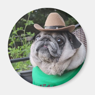 Imã Magneta de picles de fazendeiro