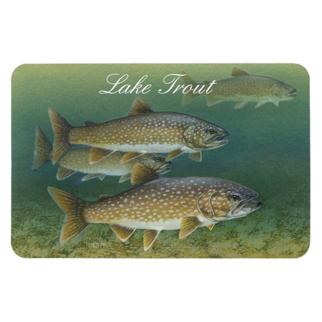 Ímã Magneta de pintura do Lago Trout (Horizontal)