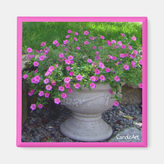 Imã Magneta de Plantador Rosa
