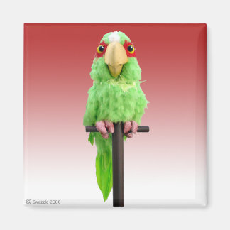 Imã Magneta de polímero