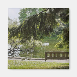 Imã Magneta De Pond De Pato Ornamental