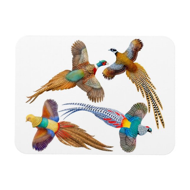 Ímã Magneta de prêmio para aves selvagens ornamentais (Horizontal)